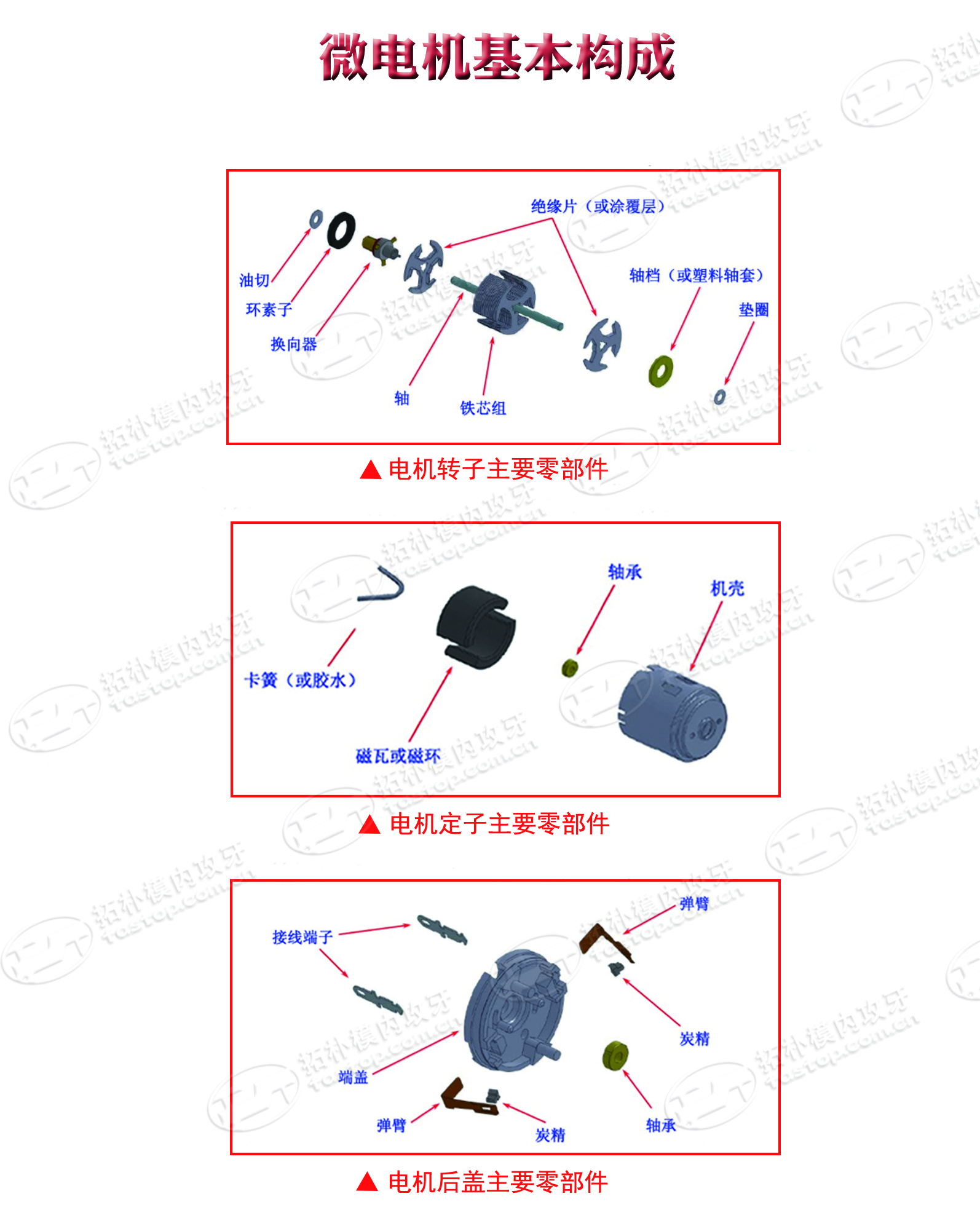 微型電機(jī)基本構(gòu)成-東莞拓樸